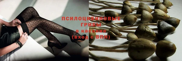прущие грибы Баксан