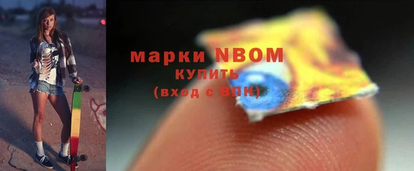 прущие грибы Баксан