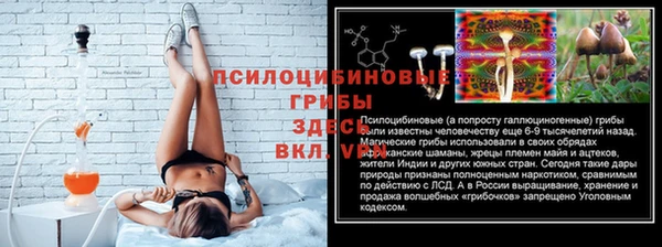 прущие грибы Баксан