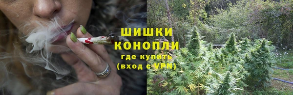 СК Протвино
