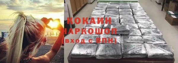 прущие грибы Баксан